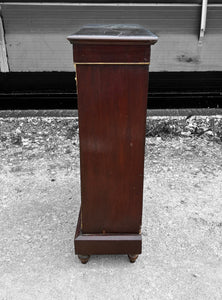 ANTIQUE 19th CENTURY FRENCH EBONISED & GLAZED DISPLAY CABINET, c1900