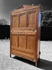 LARGE ANTIQUE 19th CENTURY FRENCH ORNATE FRUITWOOD MIRRORED DOUBLE ARMOIRE, c1900