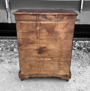 ANTIQUE 19th CENTURY FRENCH EBONISED & GLAZED DISPLAY CABINET, c1900