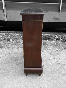 ANTIQUE 19th CENTURY FRENCH EBONISED & GLAZED DISPLAY CABINET, c1900