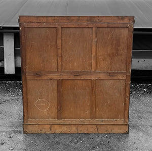 LARGE ANTIQUE 19th CENTURY ENGLISH MAHOGANY MUSEUM DISPLAY CABINET, c1900