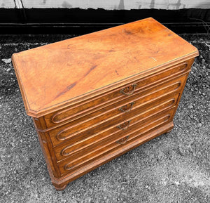 ANTIQUE 19th CENTURY FRENCH BURR WALNUT CHEST OF DRAWERS, c1900