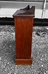 ANTIQUE 19th CENTURY MAHOGANY APOTHECARY STYLE DISPLAY CABINET, c1900