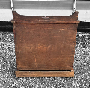 ANTIQUE 19th CENTURY MAHOGANY APOTHECARY STYLE DISPLAY CABINET, c1900