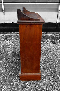 ANTIQUE 19th CENTURY MAHOGANY APOTHECARY STYLE DISPLAY CABINET, c1900